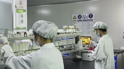 碧莲生物 化妆品工厂为品牌代加工压力大不大,科技探索创新产品