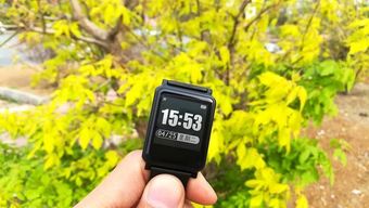 有了这些科技产品，你绝对瘦得起！